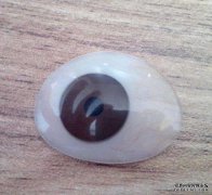 <b>哪些材質(zhì)可以制作義眼片？</b>