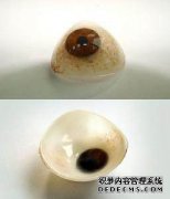 <b>義眼片帶多久要換一次？</b>